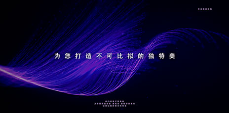 丽都美科宣传片